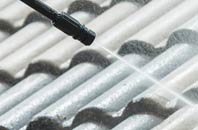 rated Tame Water roof cleaning companies